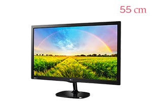 LG TV 모니터