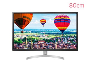 LG PC모니터